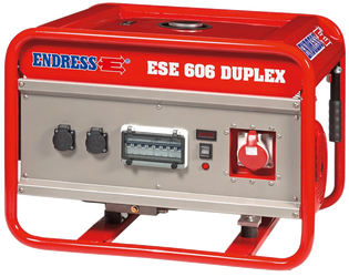 Endress ESE 606 DSG-GT ES Duplex