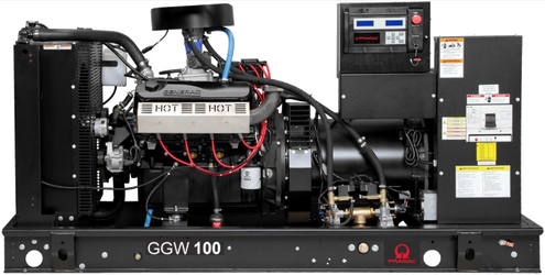 Pramac GGW100G